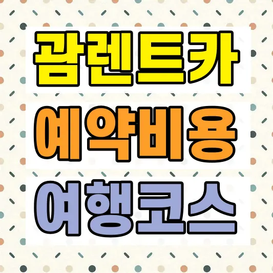 괌 렌터카 예약 비용